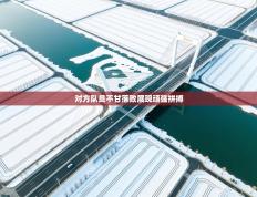 对方队员不甘落败展现顽强拼搏