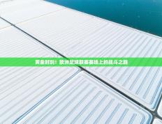 黄金时刻！欧洲足球联赛赛场上的战斗之路
