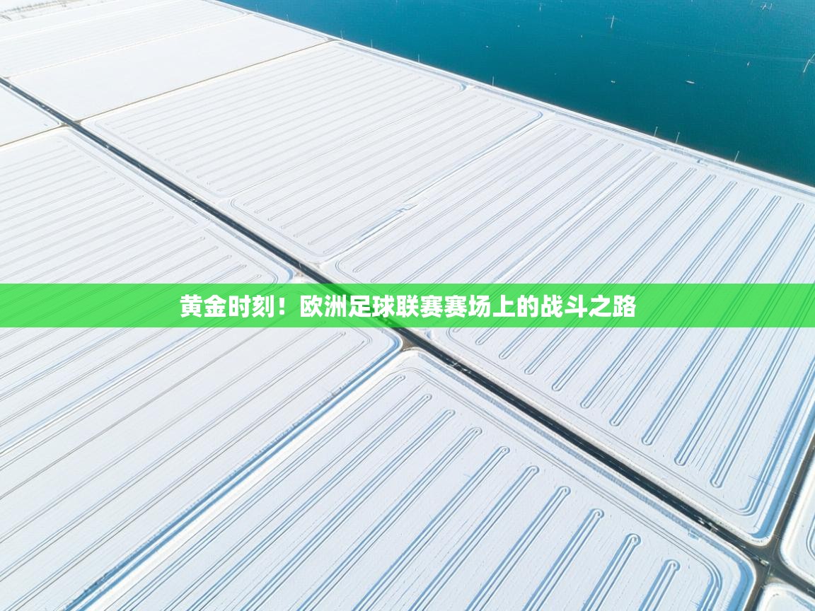 黄金时刻!欧洲足球联赛赛场上的战斗之路 第1张