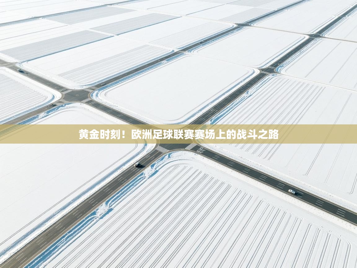 黄金时刻!欧洲足球联赛赛场上的战斗之路 第2张