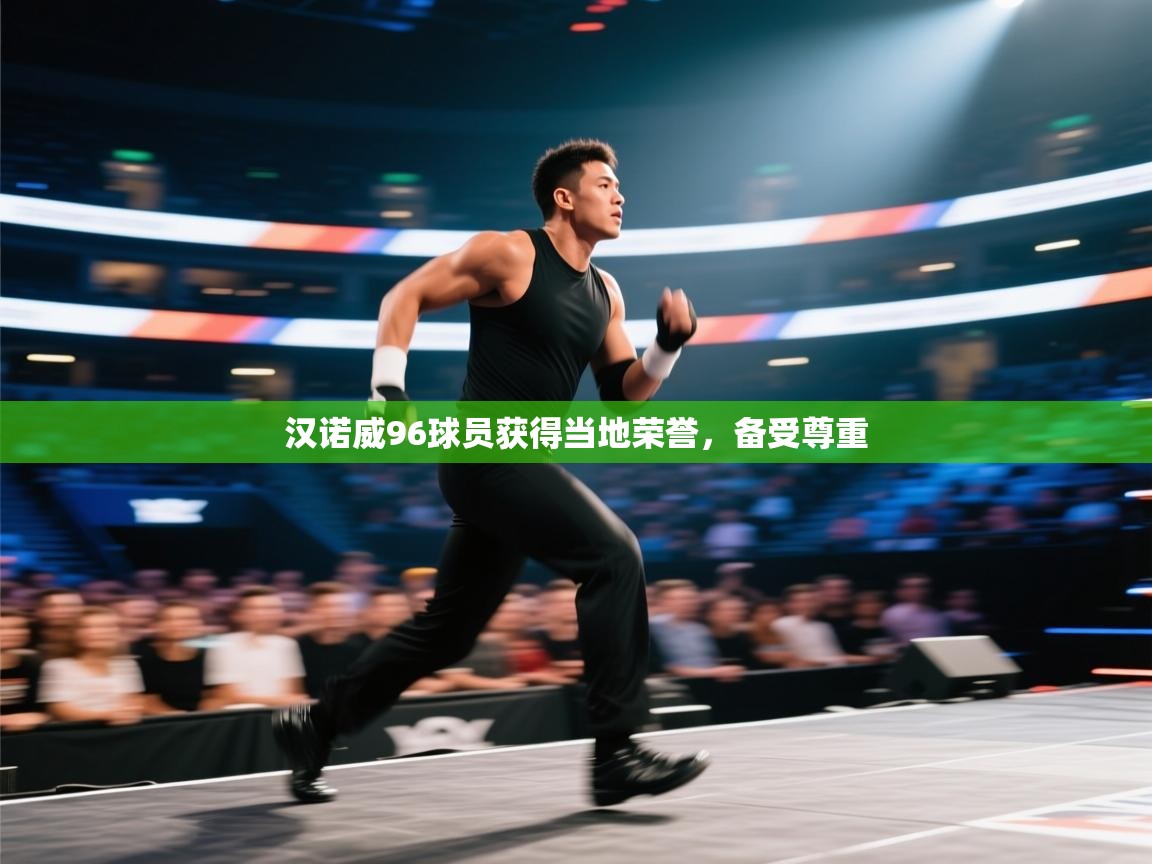 汉诺威96球员获得当地荣誉，备受尊重  第2张