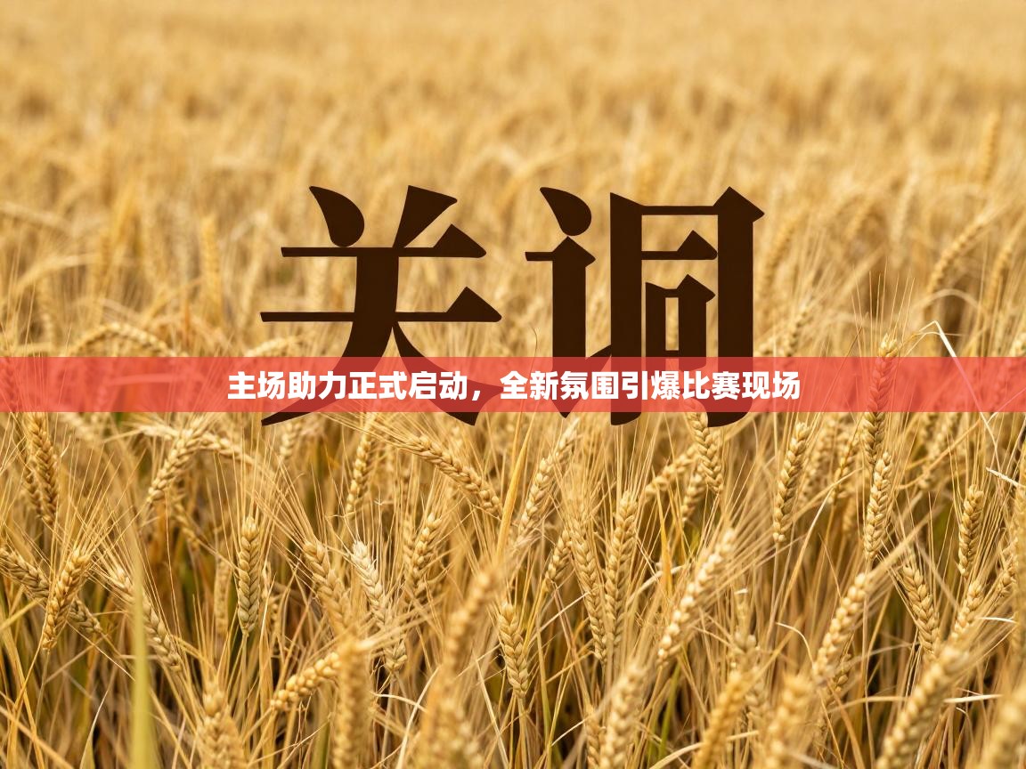 主场助力正式启动，全新氛围引爆比赛现场  第2张