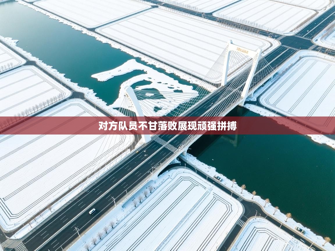 对方队员不甘落败展现顽强拼搏  第1张