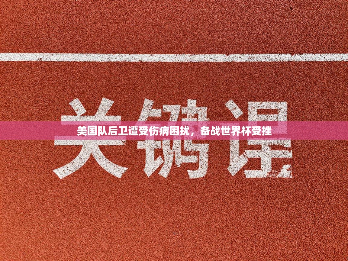 美国队后卫遭受伤病困扰,备战世界杯受挫 第2张